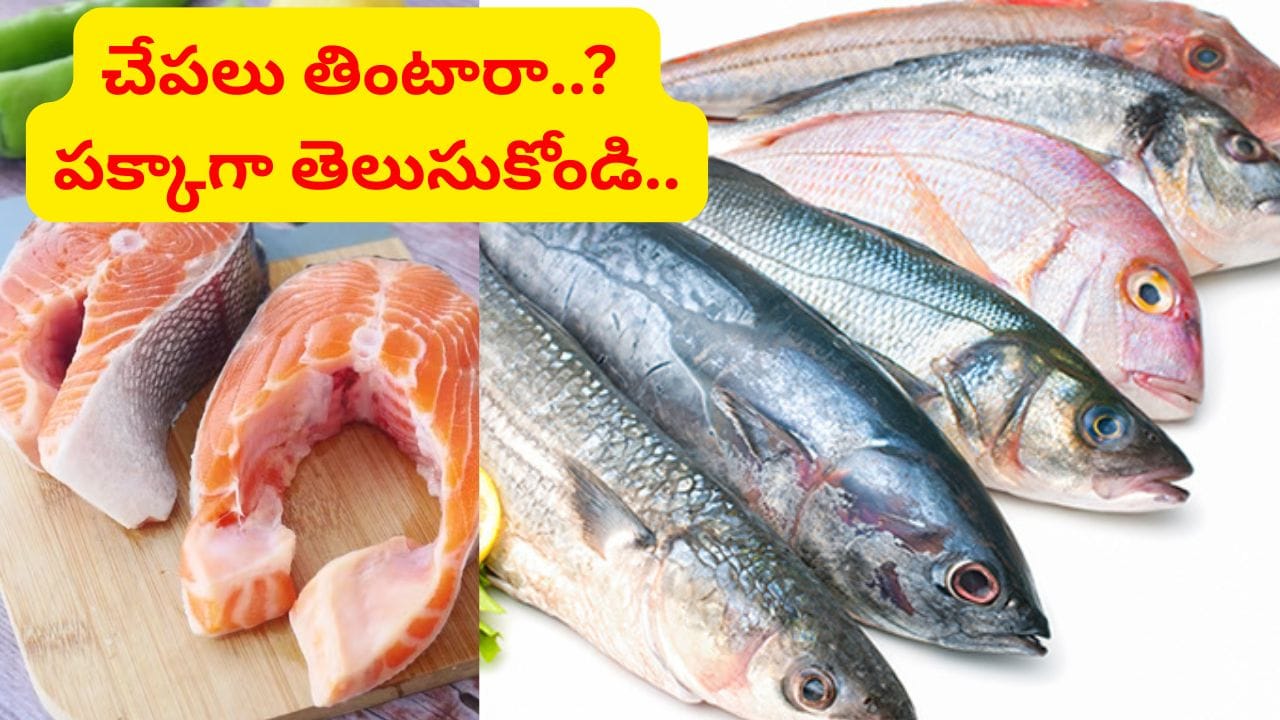 పోషకాల వపర్‌హౌస్.. చేపలు సంవత్సరానికి 18 కిలోలు తినాలంట.. మీ లెక్క ఏంటి మరి.. | Should You Eat 18 Kg of Fish Every Year? What WHO Actually Says About Fish Consumption