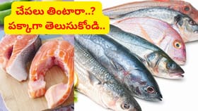 చేపలు సంవత్సరానికి 18 కిలోలు తినాలంట.. మీ లెక్క ఏంటి మరి..