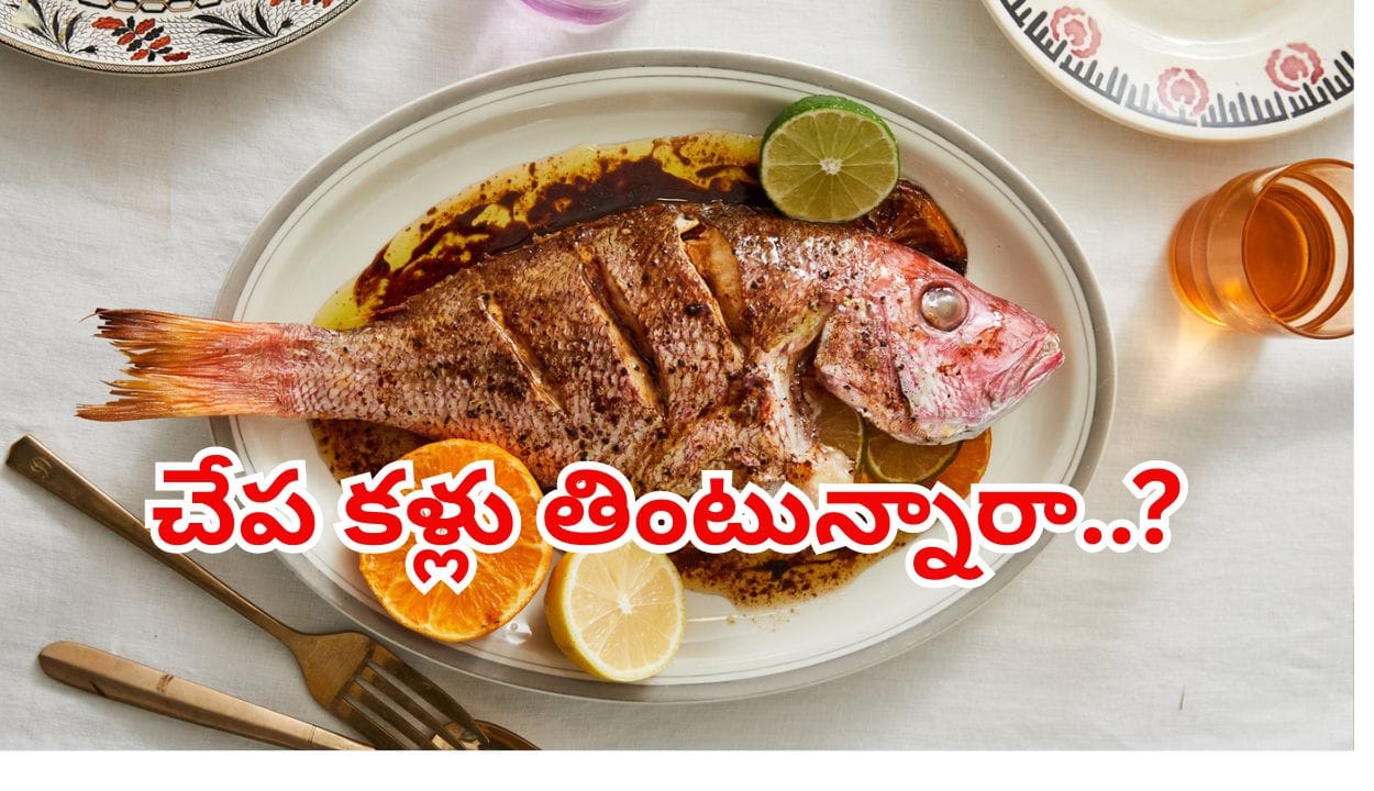 చేప కళ్లు తింటే నిజంగానే కంటి చూపు పెరుగుతుందా? నిపుణులు ఏం చెబుతున్నారో తెలిస్తే..