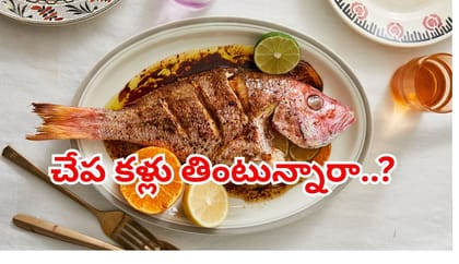 చేప కళ్లు తింటే నిజంగానే కంటి చూపు పెరుగుతుందా? నిపుణులు చెప్పేది