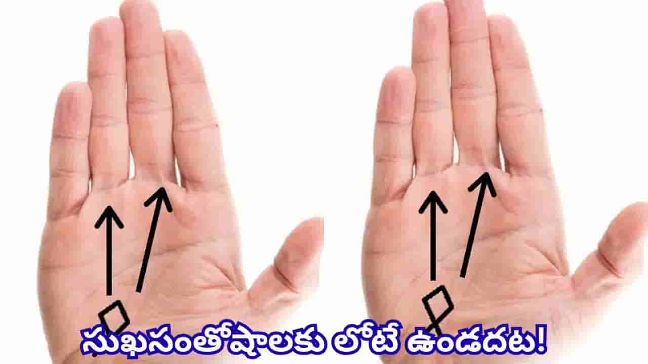 Palmistry: అరచేతిలో చేప గుర్తు ఉందా? ఈ శుభసూచకాలు మీ జీవితంలో సంపద, అదృష్టం తెస్తాయట!