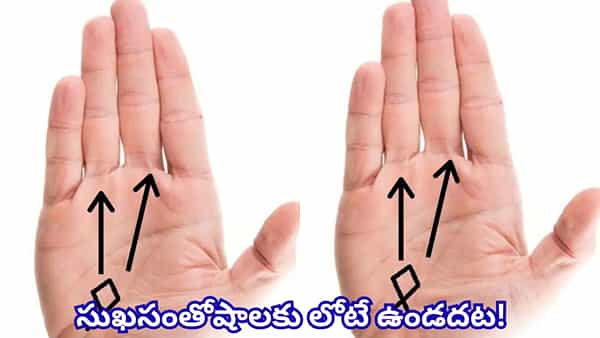 Palmistry: అరచేతిలో చేప గుర్తు ఉందా? ఈ శుభసూచకాలు మీ జీవితంలో సంపద, అదృష్టం తెస్తాయట!