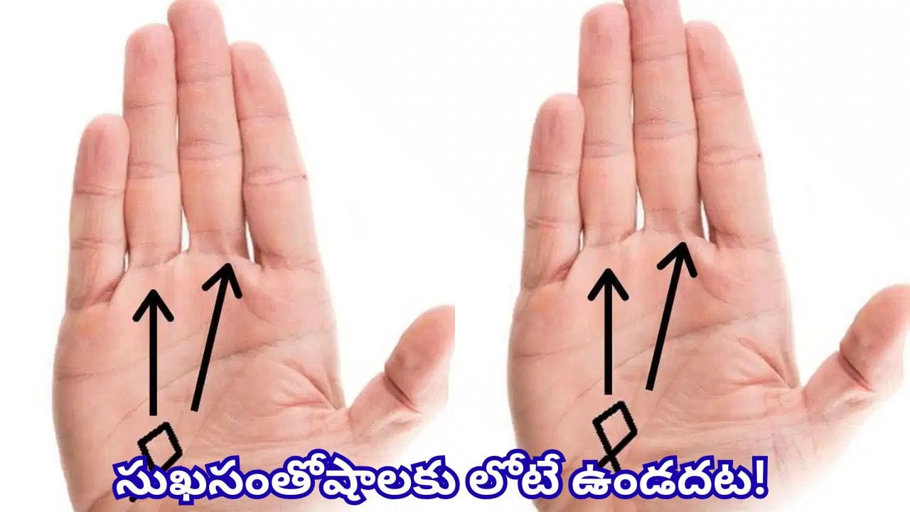 Palmistry: అరచేతిలో చేప గుర్తు ఉందా? ఈ శుభసూచకాలు మీ జీవితంలో సంపద, అదృష్టం తెస్తాయట!