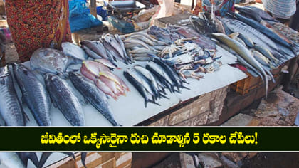 జీవితంలో ఒక్కసారైనా రుచి చూడాల్సిన 5 రకాల చేపలు!