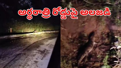 అర్థరాత్రి రొడ్డుపై కనిపించిన రాయిలాంటి ఆకారం.. ఏంటని