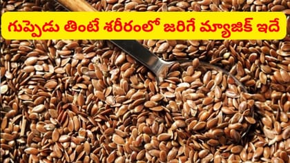 డైలీ గుప్పెడు తింటే శరీరంలోని కొవ్వును కోసి పడేస్తాయ్..