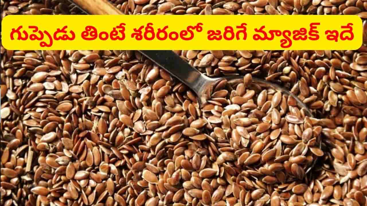 రోజూ గుప్పెడు తింటే శరీరంలోని కొవ్వును కోసి పడేస్తాయ్.. గుండెను, జుట్టును బలంగా మారుస్తాయ్
