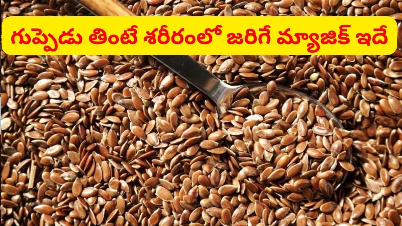 రోజూ గుప్పెడు తింటే శరీరంలోని కొవ్వును కోసి పడేస్తాయ్.. గుండెను, జుట్టును బలంగా మారుస్తాయ్