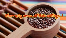 ఆకారంలో చిన్నవే గానీ, ఆరోగ్య లాభాలు కొండన్నీ..రోజూ గుప్పెడు చాలు!