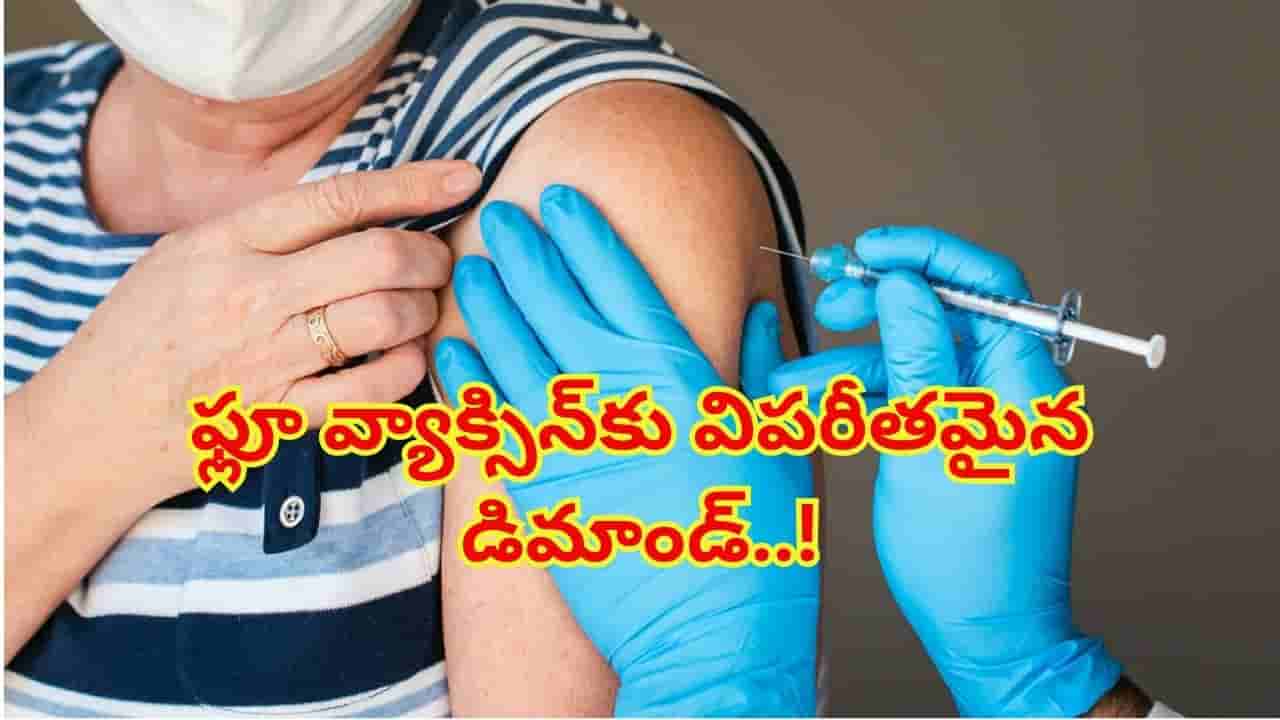 H1N1 వైరస్ విజృంభణ.. ఫ్లూ వ్యాక్సిన్కు పెరిగిన డిమాండ్! వారికి టీకా తప్పనిసరి?