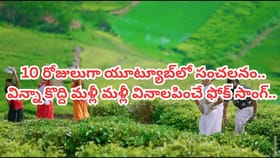 ఎక్కడా విన్నా ఇదే సాంగ్.. యూట్యూబ్ షేక్ చేస్తున్న పాట..