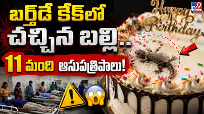బర్త్‌డే కేక్‌లో చచ్చిన బల్లి.. 11 మంది ఆసుపత్రిపాలు!