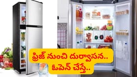 ఇంట్లో ఉన్న ఫ్రిజ్ నుంచి దుర్వాసన.. ఓపెన్ చేస్తే వామ్మో.. ఒక్కసార