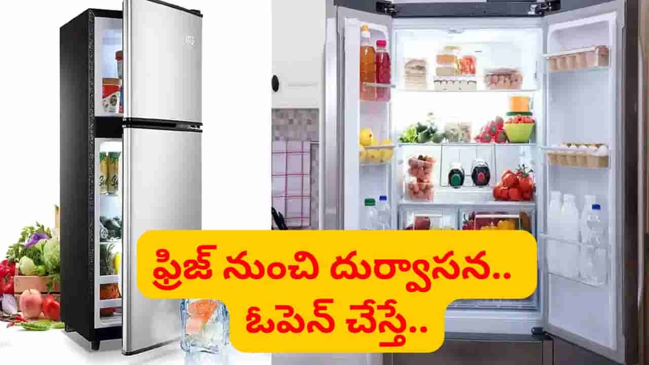 ఇంట్లో ఉన్న ఫ్రిజ్ నుంచి దుర్వాసన.. ఓపెన్ చేస్తే ఒక్కసారిగా..