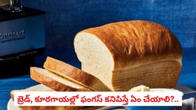 బ్రెడ్, కూరగాయల్లో ఫంగస్‌ కనిపిస్తే ఏం చేయాలి?..