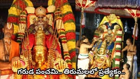 గరుడ పంచమి.. శ్రీమహావిష్ణువు వాహనమైన గరుడుడి మహిమ, పూజా..