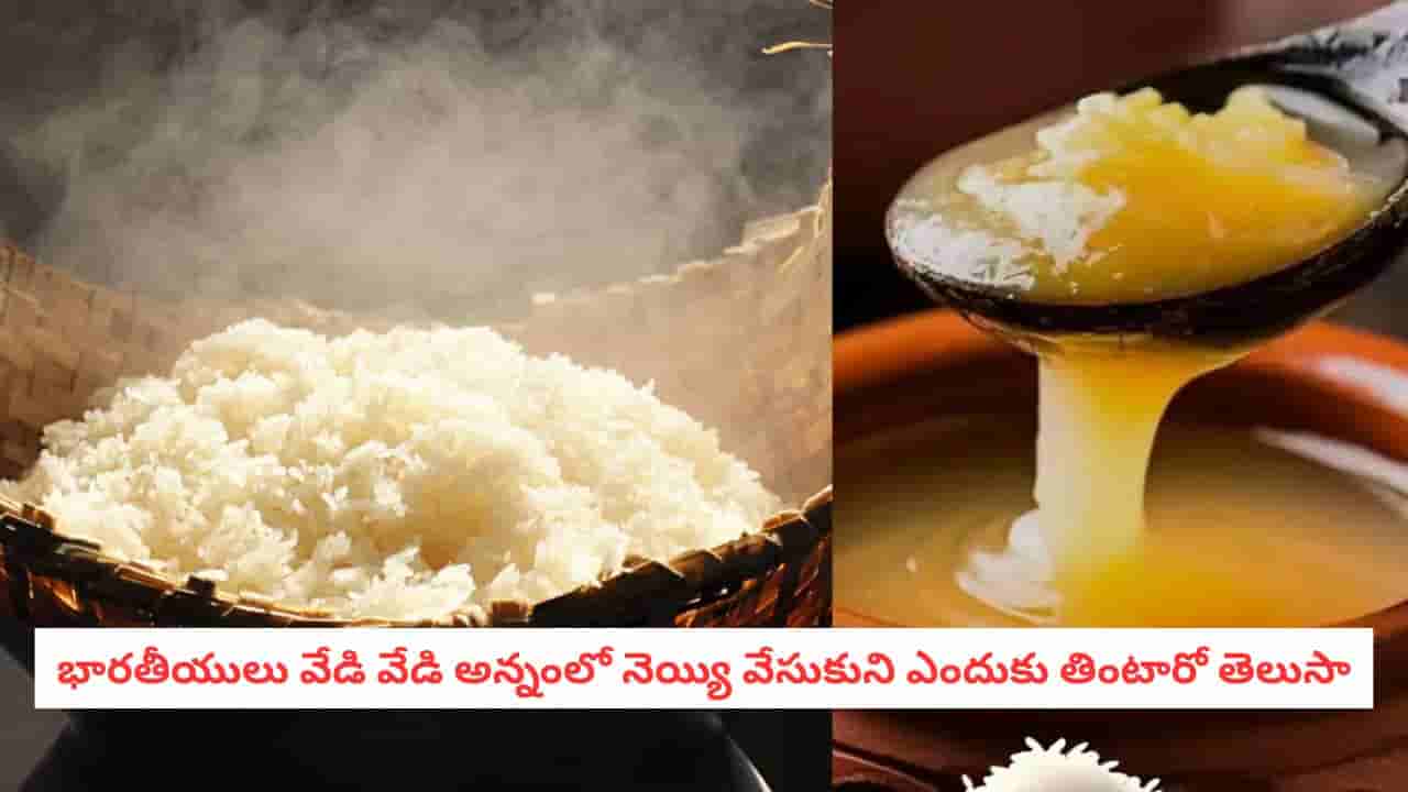 Ghee with Hot Rice : వహ్వా.. వేడి అన్నంలో నెయ్యి ఎందుకు వేస్తారో తెలుసా?.. రుచి కోసమే కాదు.. సైన్స్ చెప్పిన అసలు కారణమిదే!