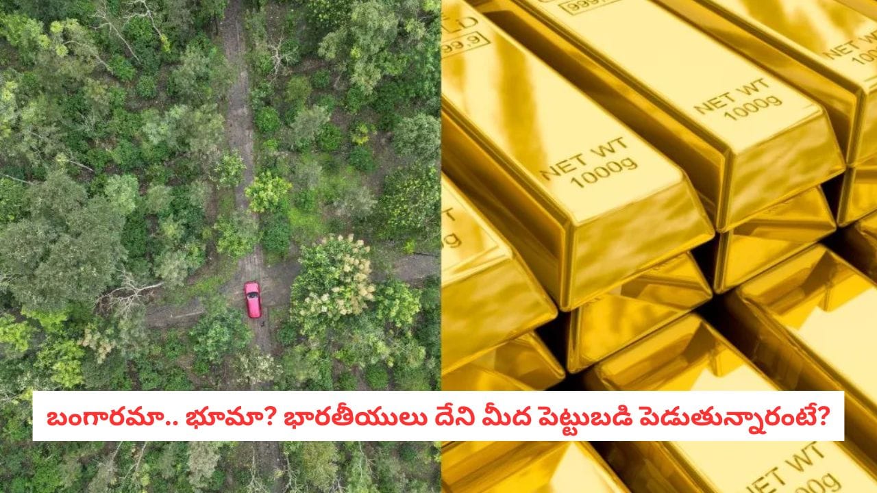 Indians Investment: బంగారం తర్వాత ఇదే ఫేవరెట్.. భారతీయులు భారీగా పెట్టుబడులు పెడుతున్నది ఇక్కడే!