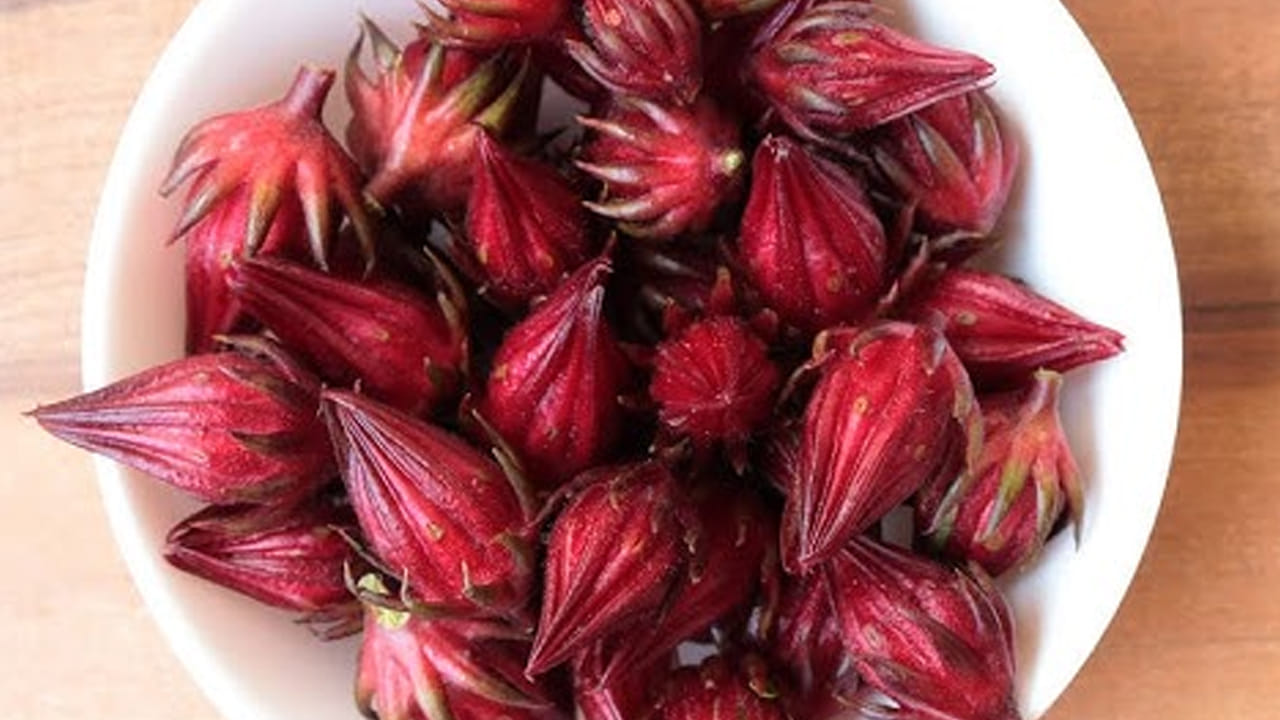 Gongura Kayalu 1