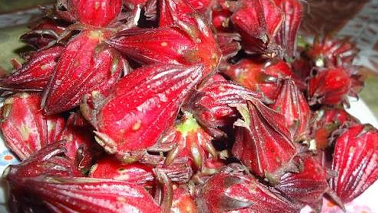 Gongura Kayalu