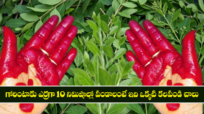 గోరింటాకు ఎర్రగా 10 నిమిషాల్లో పండాలంటే ఇది ఒక్కటి కలపండి చాలు
