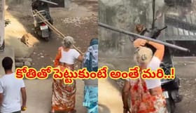 బామ్మ వర్సెస్ కోతి ఫైట్.. నవ్వి నవ్వి పోతే మాకు సంబంధం లేదు!