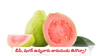 బీపీ, షుగర్ ఉన్నవారు జామపండు తినొచ్చా?