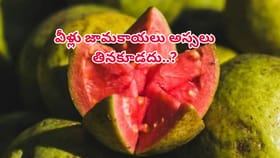 వీళ్లు జామకాయలు అస్సలు తినకూడదు..చాలా డేంజర్! శరీరంలో జరిగేది ఇదే