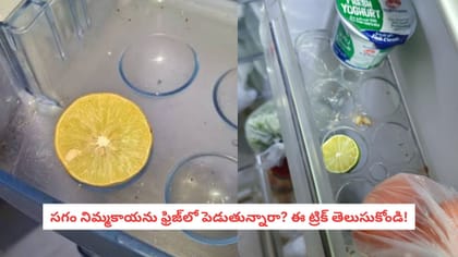 సగం నిమ్మకాయను ఫ్రిజ్‌లో పెడుతున్నారా? ఈ ట్రిక్ తెలుసుకోండి!