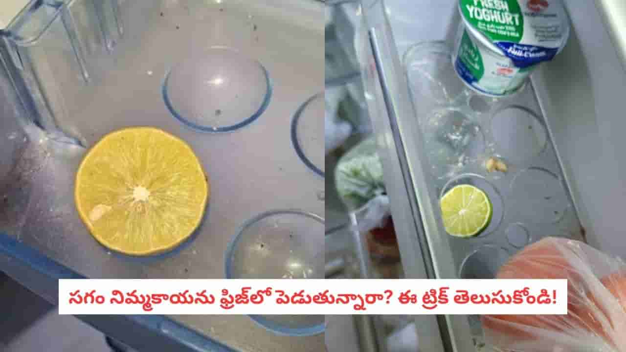 Lemon Storage: సగం నిమ్మకాయను ఫ్రిజ్లో పెడుతున్నారా? ఈ ఒక్క ట్రిక్ మర్చిపోవద్దు!