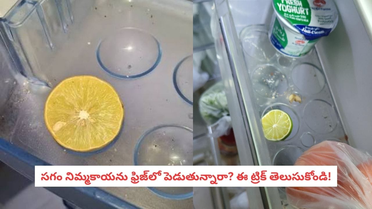 Lemon Storage: సగం నిమ్మకాయను ఫ్రిజ్లో పెడుతున్నారా? ఈ ఒక్క ట్రిక్ మర్చిపోవద్దు!