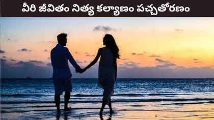 ఈ రాశుల వారికి దాంపత్య జీవితం సుఖమయం..