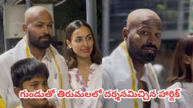 తిరుమలలో శ్రీవారిని దర్శించుకున్న హార్దిక్ పాండ్యా