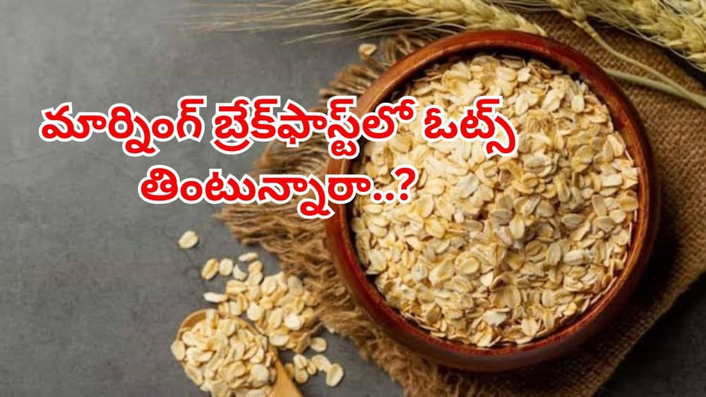 మార్నింగ్‌ బ్రేక్‌ఫాస్ట్‌లో ఓట్స్‌ తింటున్నారా..? అయితే, ఇది తప్పక తెలుసుకోండి..