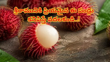 శ్రీ రామునికి ఎంతో ప్రియమైన ఈ పండు పోషకాల నిధి! కనిపిస్తే వదలకండి