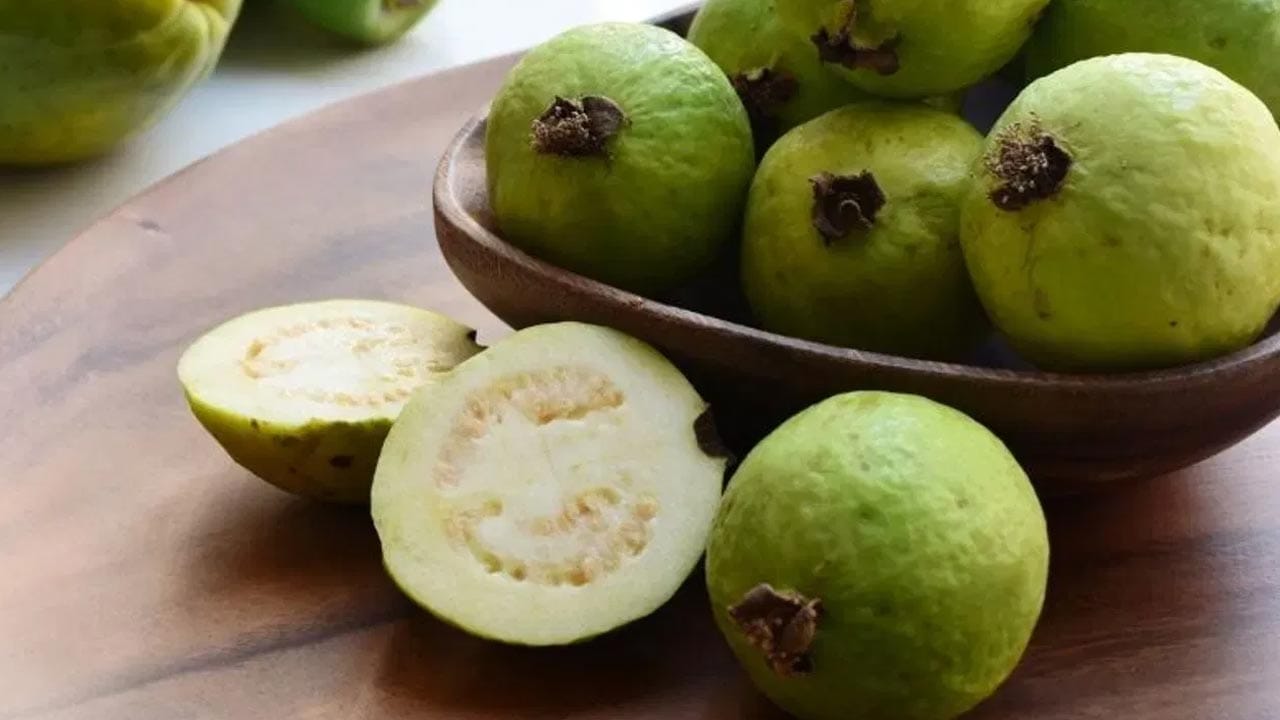 పంటి నొప్పులు, సున్నితత్వం: దంత సమస్యలు లేదా చిగుళ్ల నొప్పులు ఉన్నవారు గట్టిగా ఉండే పచ్చి జామకాయలను నమిలినప్పుడు పంటి నొప్పులు ఎక్కువయ్యే అవకాశం ఉంది. అలాగే జామ గింజలు పండ్ల సందుల్లో ఇరుక్కుని అసౌకర్యాన్ని కలిగిస్తాయి.