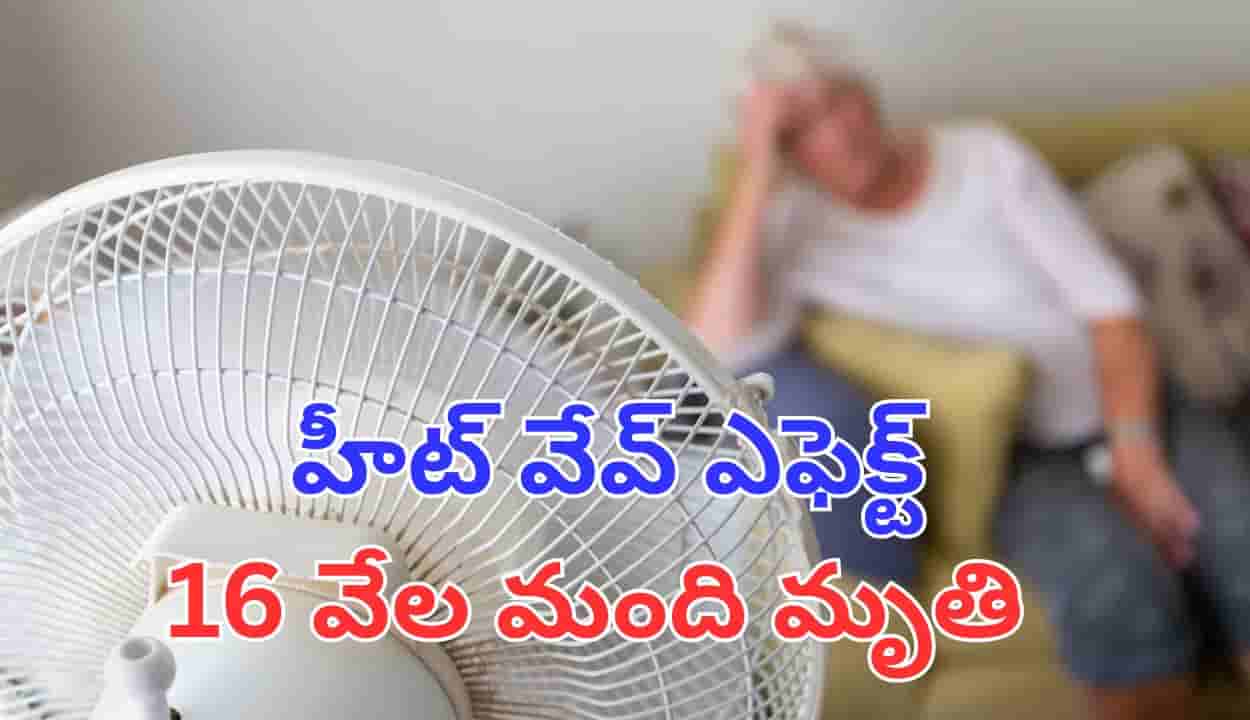 వేడిగాలులకు యూరప్లో 16 వేల మంది మృతి