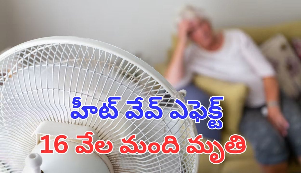 వేడిగాలులకు యూరప్లో 16 వేల మంది మృతి