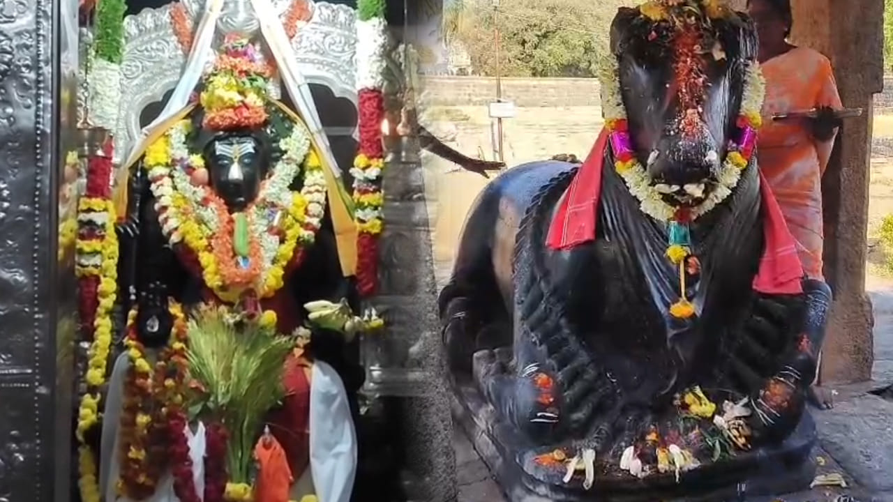 Andhra Pradesh: మనిషి రూపంలో శివుడు.. పక్కకు చూసే నంది.. ఈ అద్భుత ఆలయం వీడియో చూస్తే..