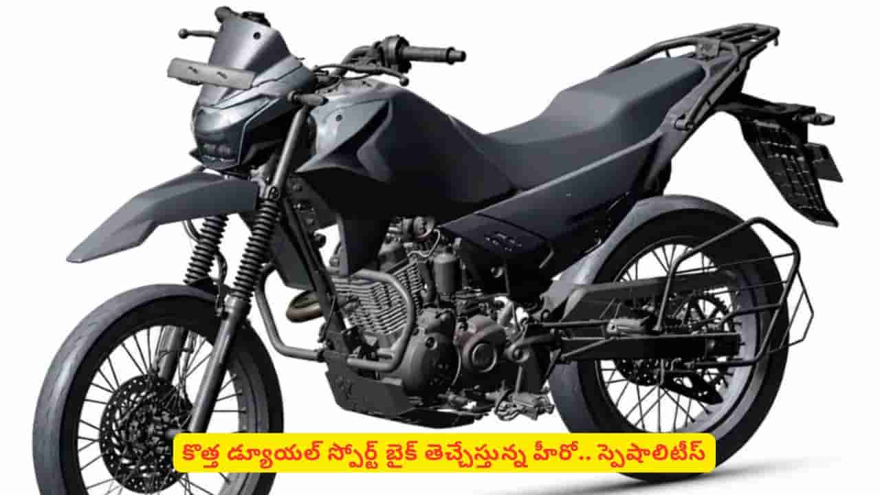 హీరో ఇంపల్స్​ గుర్తుందా? ఆ మోడల్‌ గుర్తుచేసేలా హీరో డ్యూయల్ స్పోర్ట్‌ బైక్ తెచ్చేస్తోంది