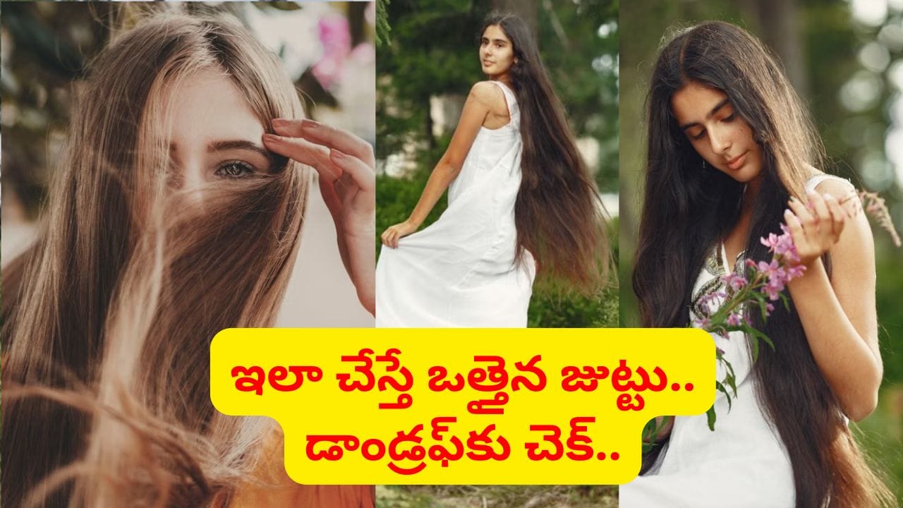 ఈ నూనె తలకు తగిలితే చాలు.. జుట్టు రాలడం తగ్గి, ఒత్తుగా నల్లగా పెరుగుతుంది.. డాండ్రఫ్ ఇట్టే మాయం..