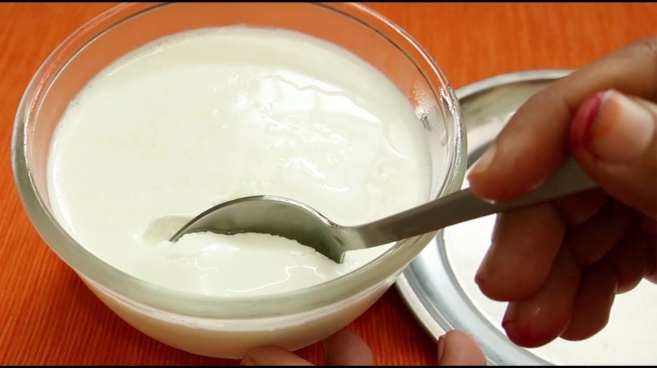  Homemade Thick Yogurt Recipe (3)