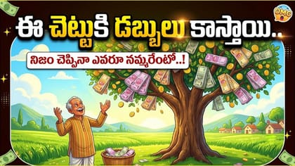 ఈ చెట్టుకి డబ్బులు కాస్తాయి.. నిజాయితీ పరుడైన రైతు కథ!