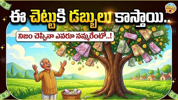 ఈ చెట్టుకి డబ్బులు కాస్తాయి.. నిజాయితీ పరుడైన రైతు కథ!