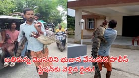 బతికున్న మొసలిని భుజాన వేసుకుని పోలీస్ స్టేషన్‌కు వెళ్లిన రైతు!