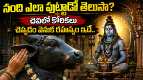 శివాలయంలో నంది విగ్రహం ఎందుకు ఉంటుంది? నందీశ్వరుని పుట్టుక..