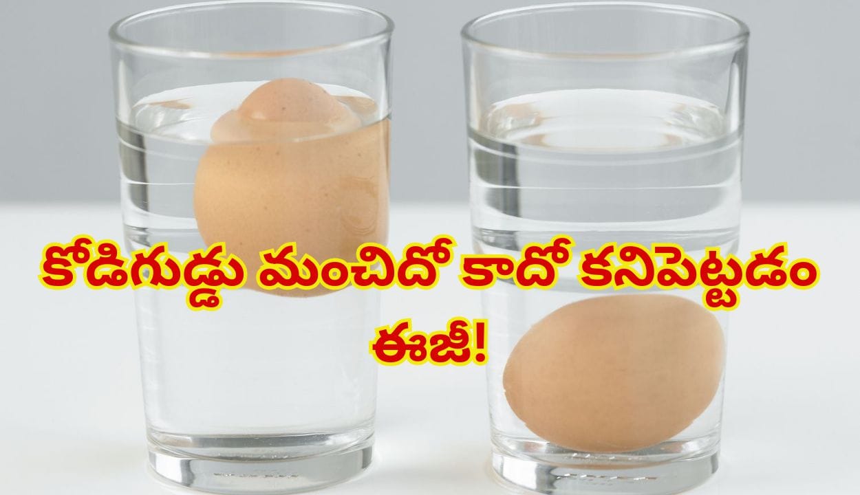 కోడిగుడ్డు మంచిదో కాదో కనిపెట్టడం ఎలా? నీళ్లలో వేస్తే నిజం తేలిపోతుంది!