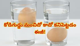 కోడిగుడ్డు మంచిదో కాదో కనిపెట్టడం ఎలా? నీళ్లలో వేస్తే నిజం తేలి