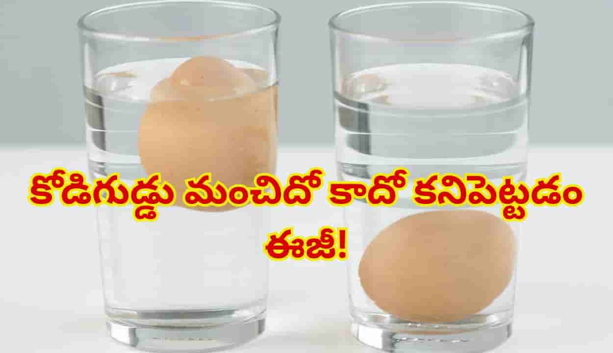 కోడిగుడ్డు మంచిదో కాదో కనిపెట్టడం ఎలా? నీళ్లలో వేస్తే నిజం తేలిపోతుంది!