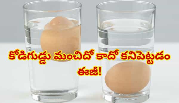 కోడిగుడ్డు మంచిదో కాదో కనిపెట్టడం ఎలా? నీళ్లలో వేస్తే నిజం తేలిపోతుంది!